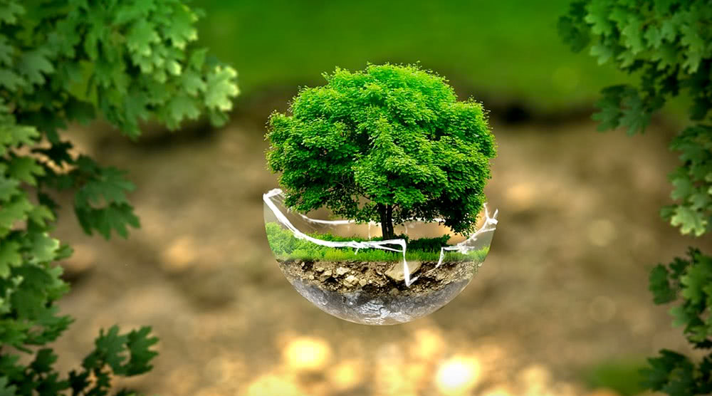 Sostenibilità | Sustainability