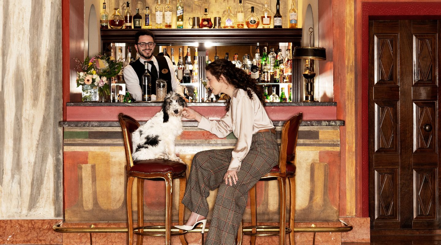 Pet Friendly