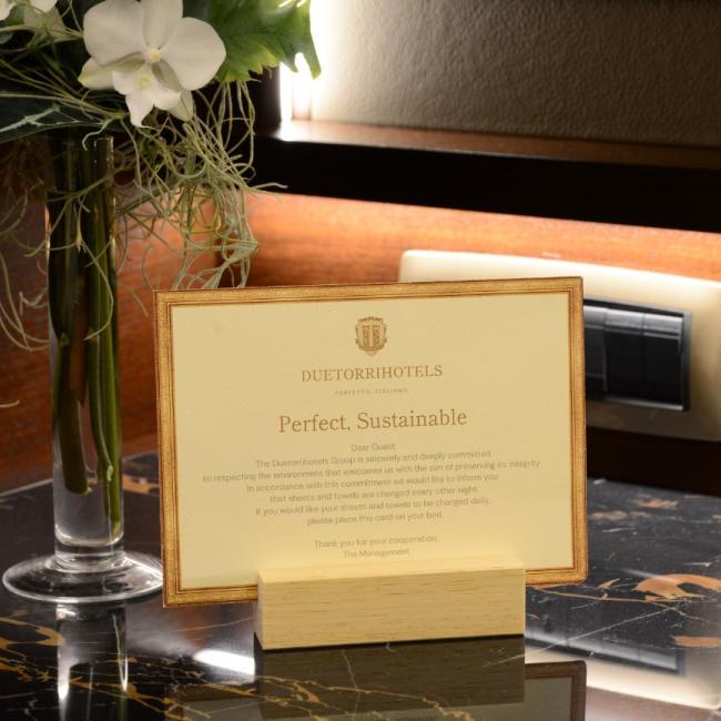 Terrace Junior Suite