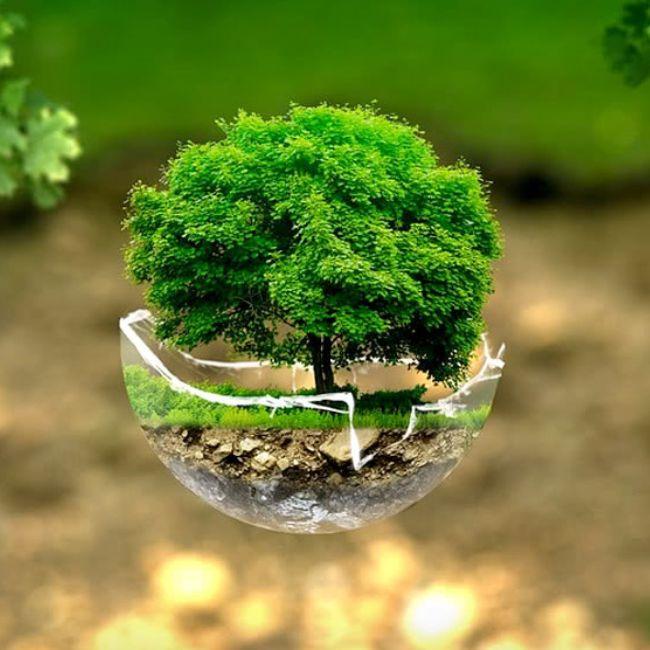 Sostenibilità | Sustainability